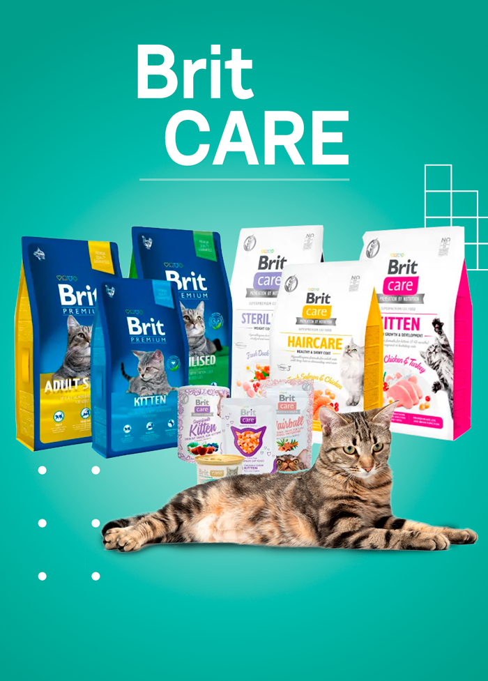comida para gato brit care