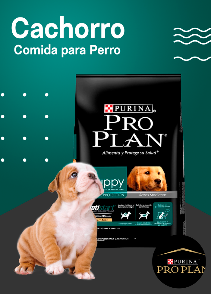 Proscrito Destruir ojo Pro Plan: Comida para Perros — NeoPet.pe