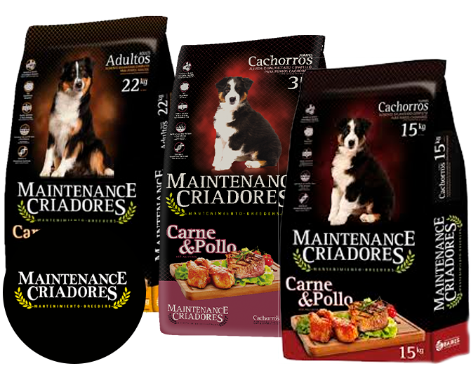 comida para perros maintenance