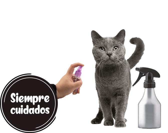 spray antipulgas para gatos