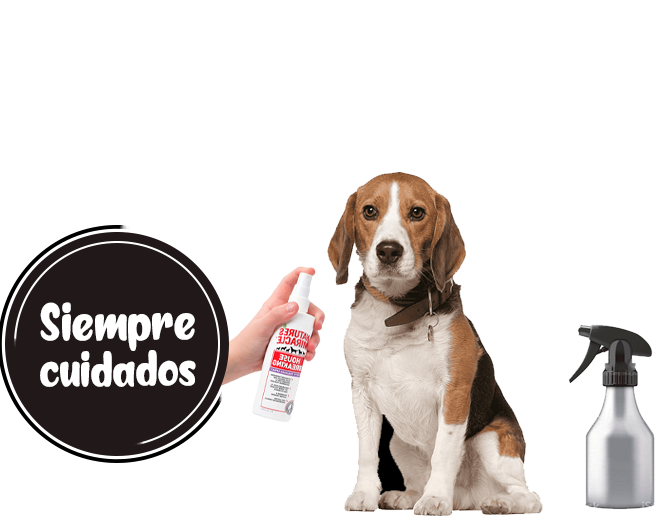 spray antipulgas para perro
